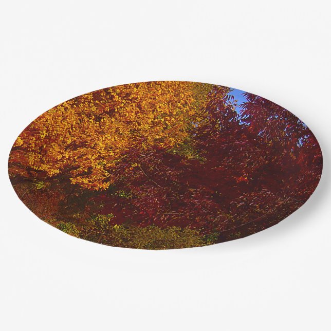 Herbstleaves Gelb und Lila, ZSSPG Pappteller (Schrägansicht)