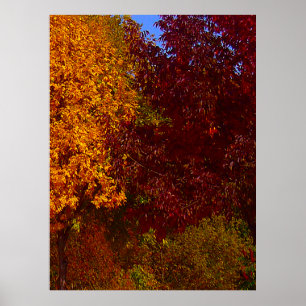 Herbstleaves Gelb und Lila, ZSSPG Poster