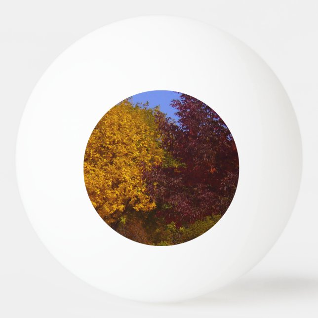 Herbstleaves Gelb und Lila, ZSSPG Tischtennisball (Vorderseite)