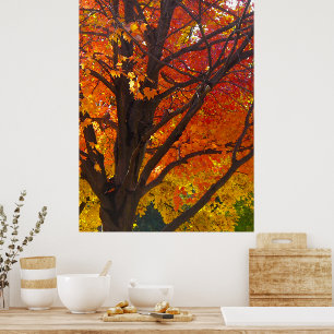 Herbstleaves Gelb und Orange, Vertikales ZSSPG Poster
