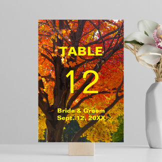 Herbstleaves Hochzeitskarte Tischnummer