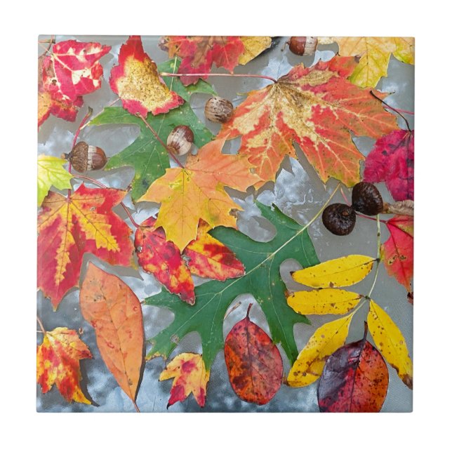 Herbstleaves Keramik Coster Tile Fliese (Vorderseite)