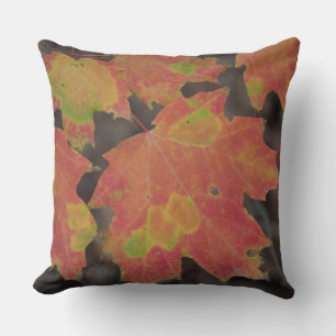 Herbstleaves Kissen