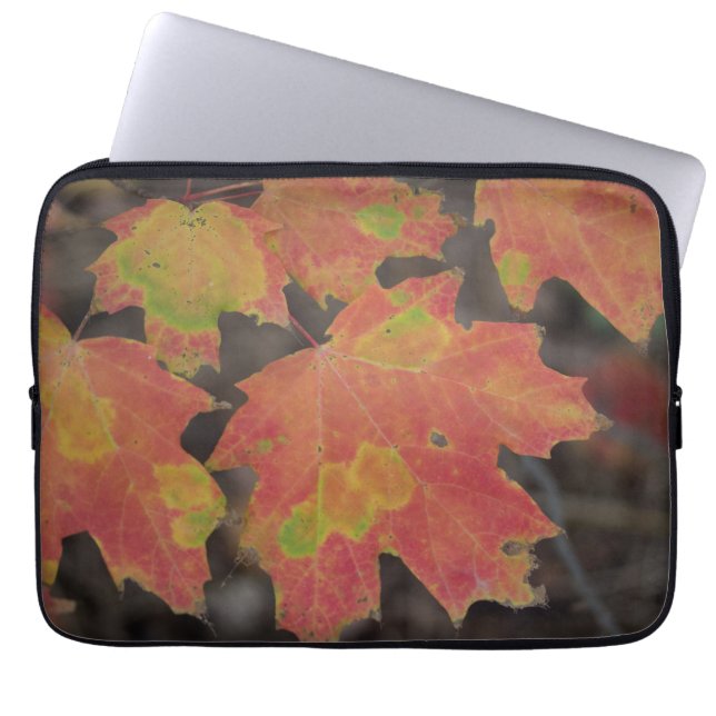 Herbstleaves Laptopschutzhülle (Vorderseite)