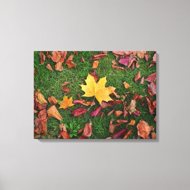 Herbstleaves Leinwanddruck (Vorderseite)