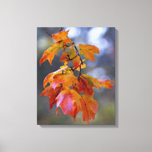 Herbstleaves Leinwanddruck (Vorderseite)