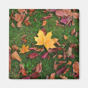 Herbstleaves Magnet