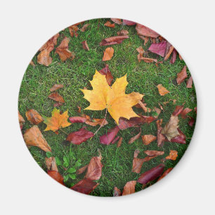 Herbstleaves Magnet