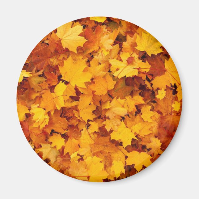 Herbstleaves Magnet (Vorne)