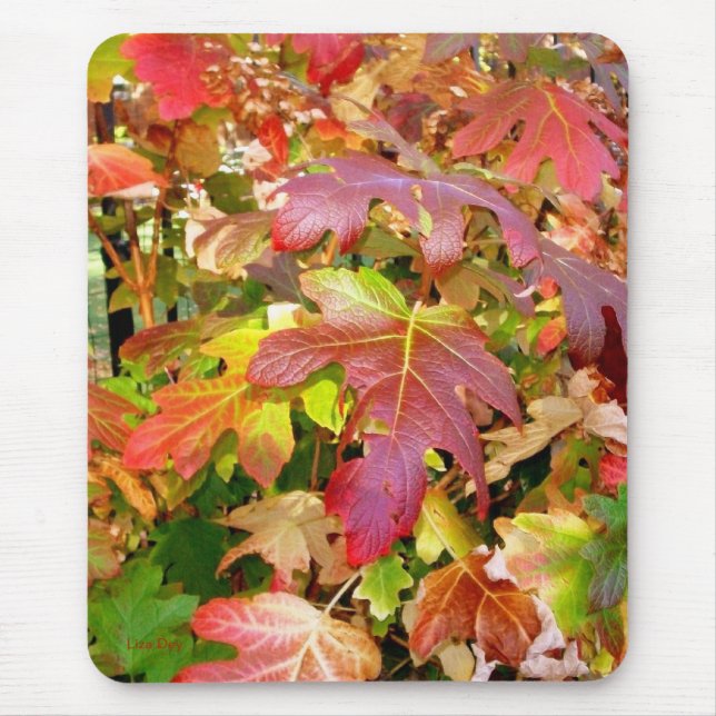 "Herbstleaves" Mousepad (Vorne)