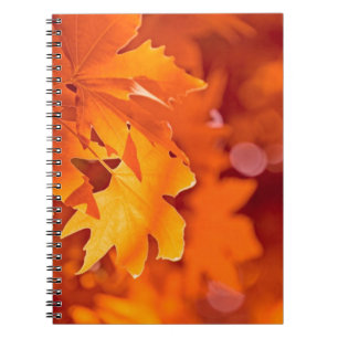 Herbstleaves Notizblock