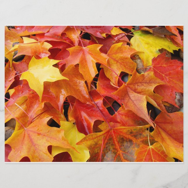 Herbstleaves Orange Yellow Red Flyer Paper (Vorne)