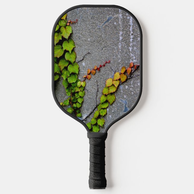 Herbstleaves Pickleball Schläger (Vorderseite)