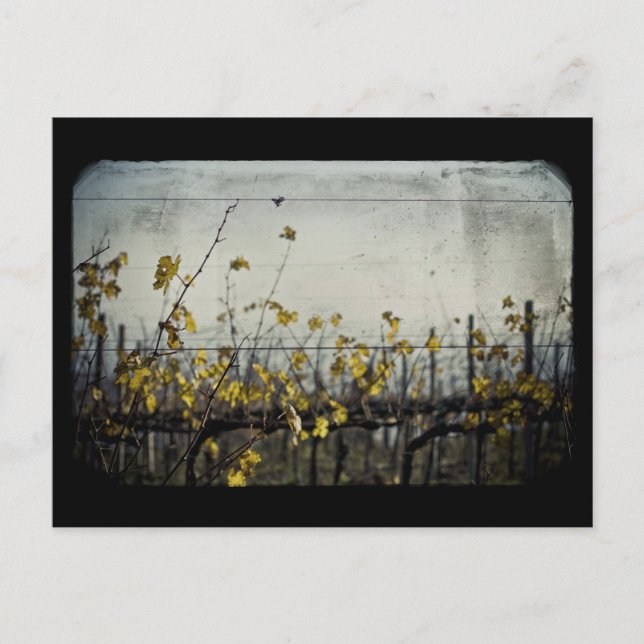 Herbstleaves Postkarte (Vorderseite)