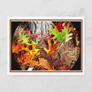 Herbstleaves Postkarte