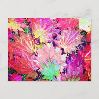 Herbstleaves Postkarte