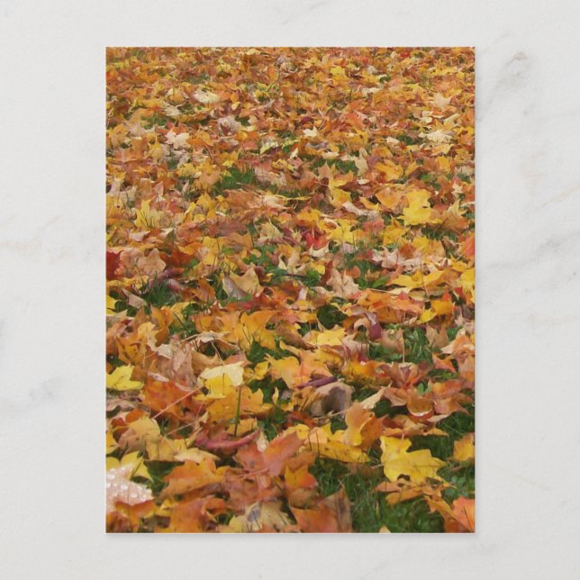 Herbstleaves Postkarte (Vorderseite)