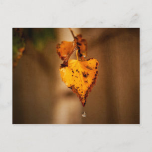 Herbstleaves Postkarte