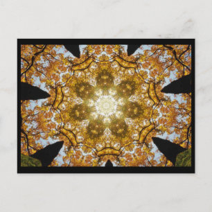 Herbstleaves Postkarte