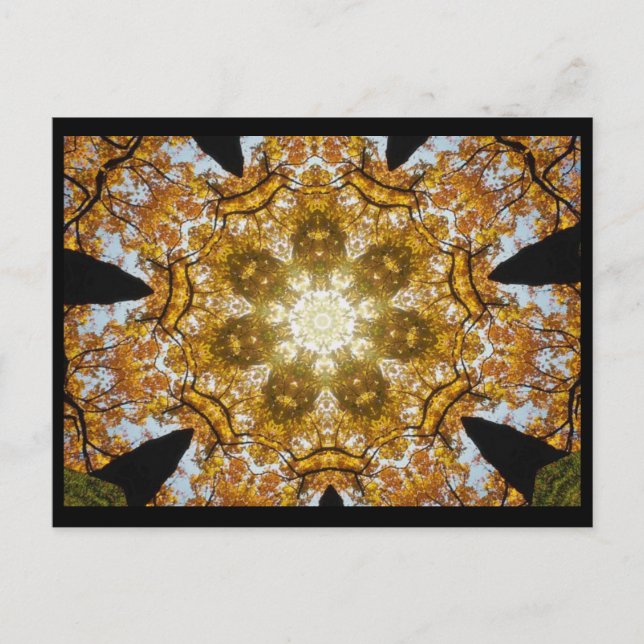 Herbstleaves Postkarte (Vorderseite)