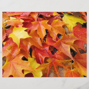 Herbstleaves Scrapbooking-Papier-Herbstlaub