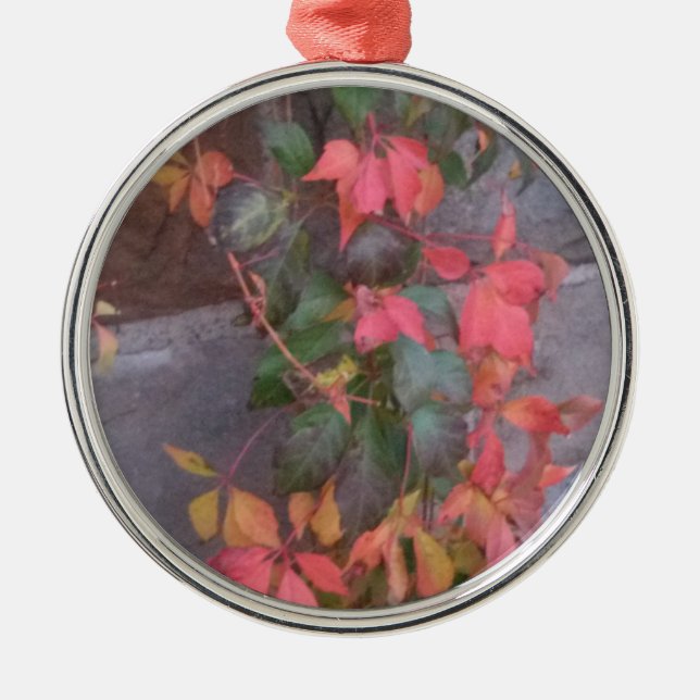 Herbstleaves Silbernes Ornament (Vorne)