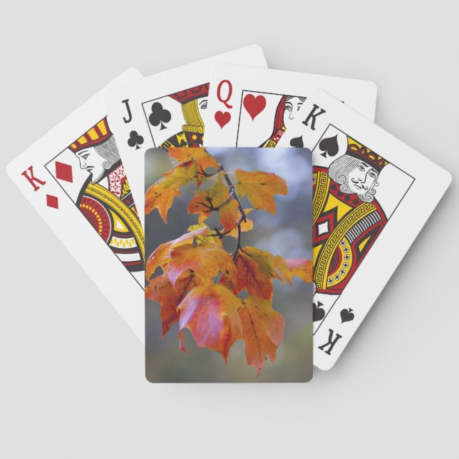 Herbstleaves Spielkarten (Rückseite)