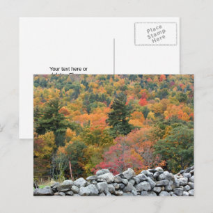 Herbstleaves Steinmauer Personalisiert Postkarte