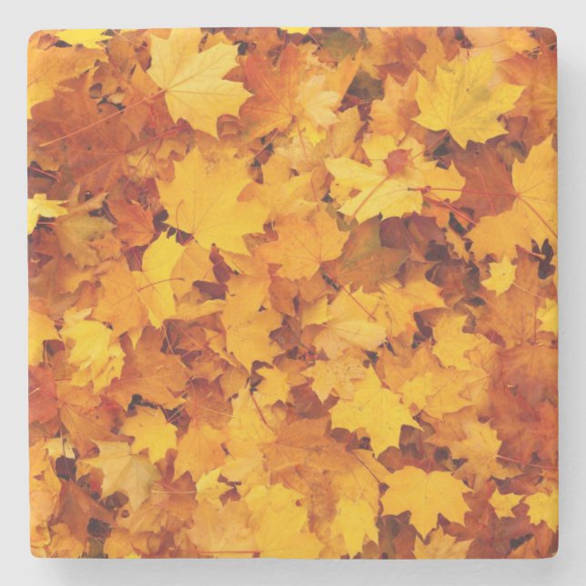 Herbstleaves Steinuntersetzer (Vorderseite)
