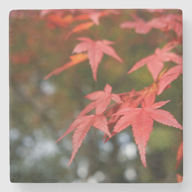 Herbstleaves Steinuntersetzer (Vorderseite)