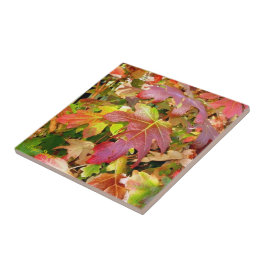 "Herbstleaves" Tile/Trivet Fliese