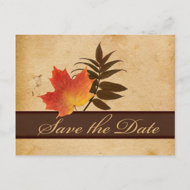 Herbstlebe auf einer älteren Papierkarte Save the  Ankündigungspostkarte (Vorderseite)