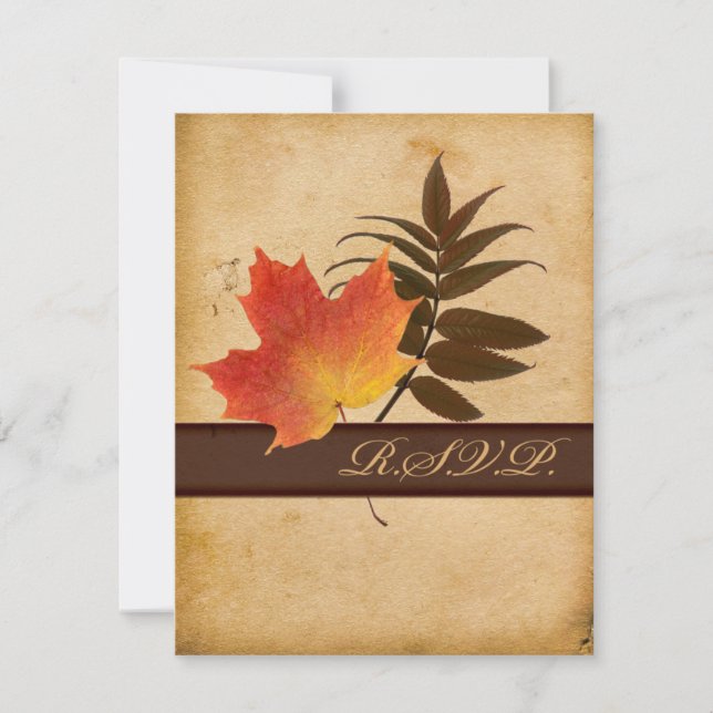 Herbstlebe auf einer gealterten Papierbeantwortung RSVP Karte (Vorderseite)