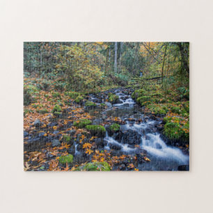 Herbstlebewesen am Gorton Creek