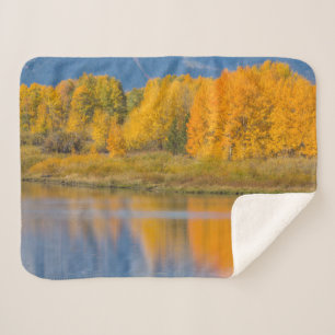 Herbstlich gefärbte Espen Sherpadecke