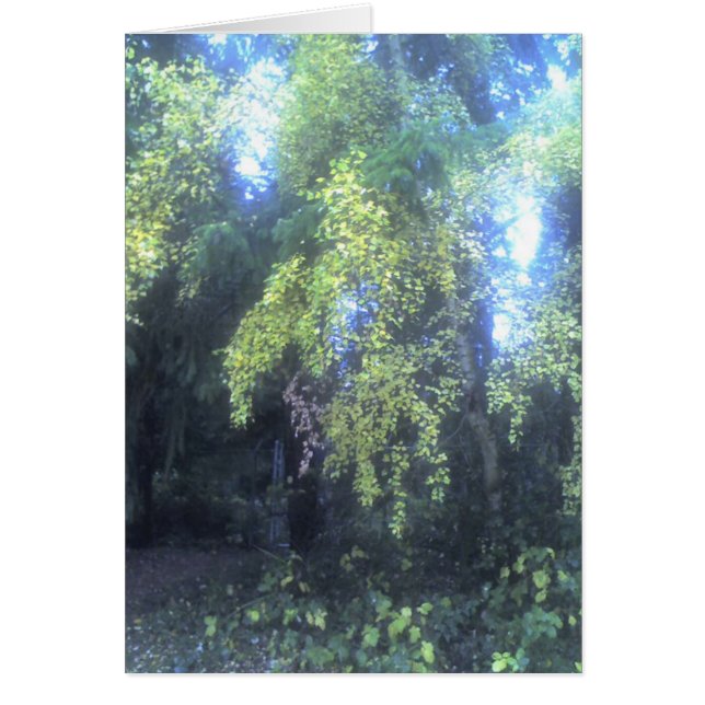 herbstliche Änderung (Vorne)