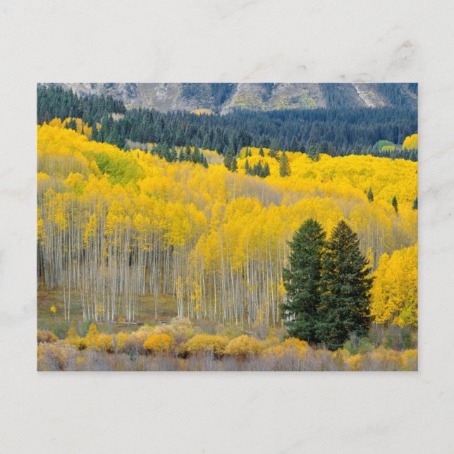 Herbstliche Aspekte im Ruby-Bereich Postkarte (Vorderseite)