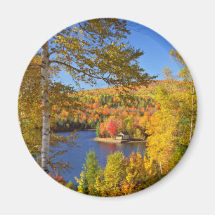 Herbstliche Baumlandschaft, Maine Magnet