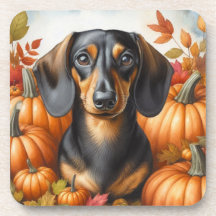 Herbstliche Dackel Freude: Schwarze und Tan Herbst