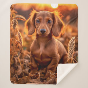 Herbstliche Dackel Sherpadecke