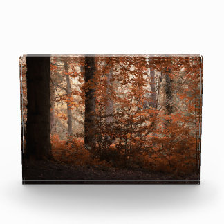 Herbstliche Dämmerung Fotoblock