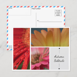 Herbstliche Einsamkeit - Blumenwasser-Droplets Pos Postkarte