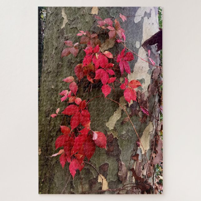 Herbstliche Gefühle, rote Blätter auf einem Baum - (Vertikal)