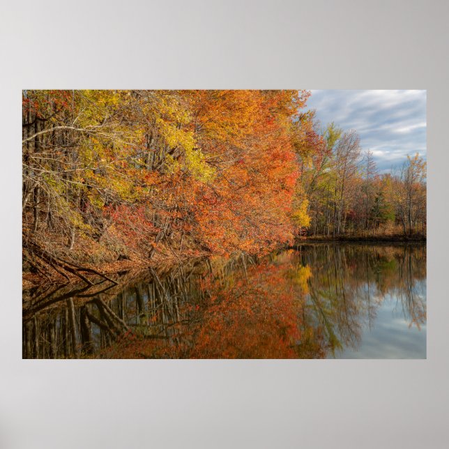 Herbstliche Reflexionen  Poster (Vorne)