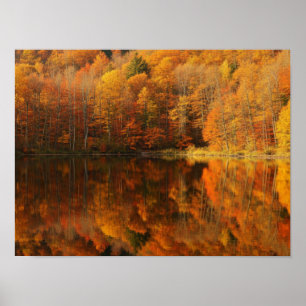 Herbstliche Reflexionen Poster