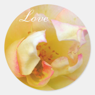Herbstliche Rose Runder Aufkleber