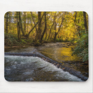 Herbstliche Ruhe Wald-Mauspad Mousepad