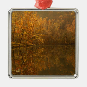 Herbstliche Spiegelungen auf dem Teich. Silbernes Ornament