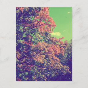 Herbstliche Vintage-Blätter Postkarte