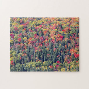 Herbstliche Waldlandschaft